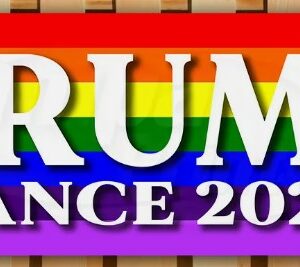 TRUMP VANCE 2024 MAGA FJB Banner Flag Sign Vinyl lgbtq gay