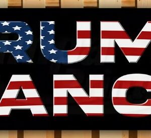 TRUMP VANCE 2024 MAGA FJB Banner Flag Sign Vinyl11