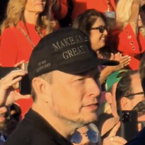 Elon Musk -Trump Never Surrender MAGA Hat Caps