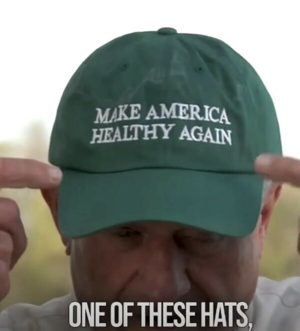 Make America Healthy Again Dad Hats