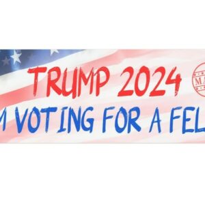 TRUMP 2024 Car Magnet - I'm Voting for a Felon