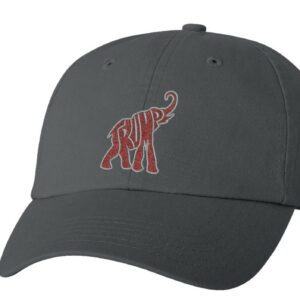 TRUMP Republican Elephant Hats