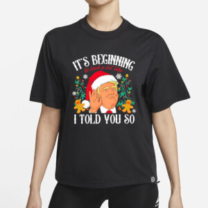 Trump Christmas it’s beginning to look a lot like I told you so shirt1