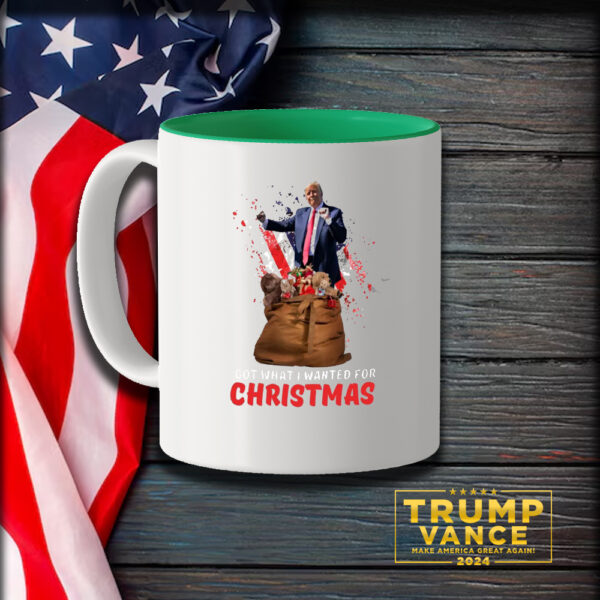 Christmas Trump Won Mug, Trump Mug3