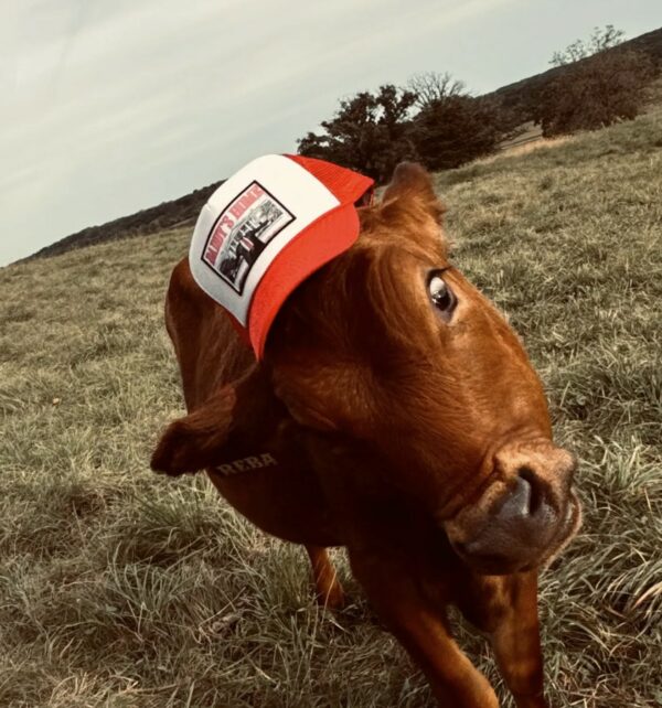 Daddy’s Home Trucker Hat US