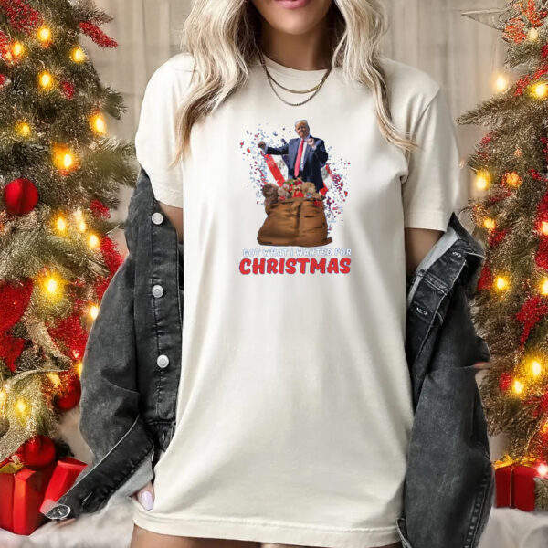 Trump 2024 Shirt, Got What I Wanted For Christmas Shirt1