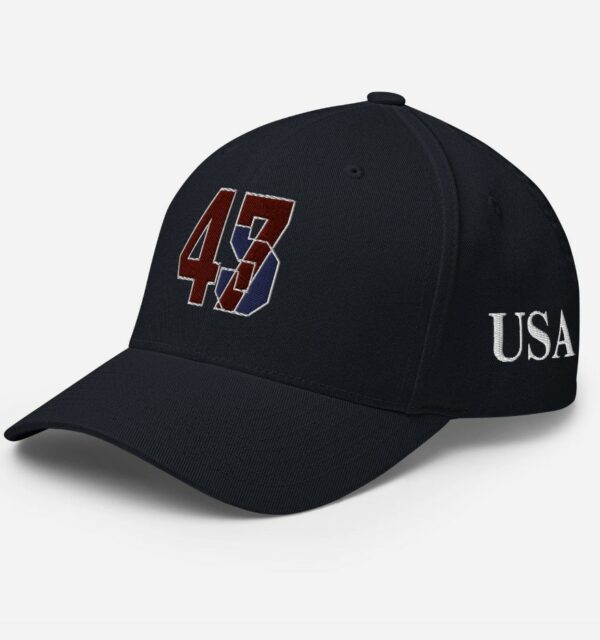 Trump 45 47 Flexfit Hat Cap US