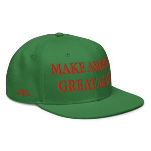 Trump MAGA Christmas Hat US