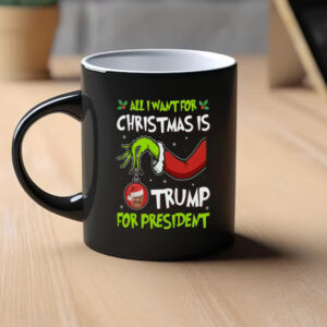 Trump Mug, Felon For President Mugs