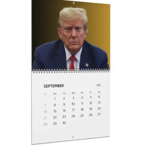 Trump Wall Calendars 2025 US