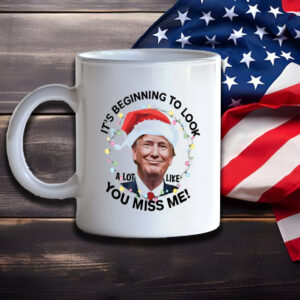 Trump Christmas Mug, Santa Trump Xmas Mug, you miss me Mug1