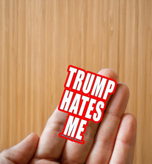 Destroyartinc Winston Smith Trump Hates Me Sticker ,Car Magnet