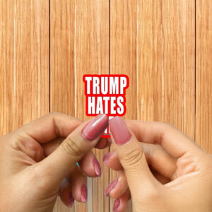 Destroyartinc Winston Smith Trump Hates Me Sticker ,Car Magnet