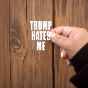 Destroyartinc Winston Smith Trump Hates Me Sticker ,Car Magnet