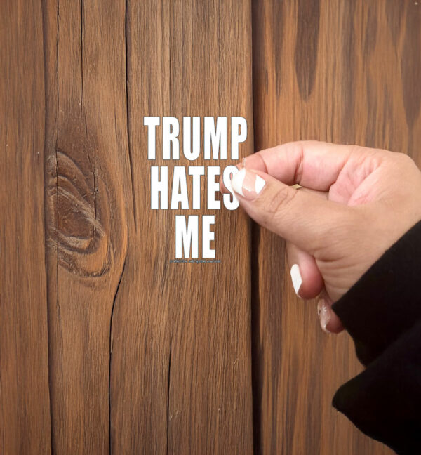 Destroyartinc Winston Smith Trump Hates Me Sticker ,Car Magnet